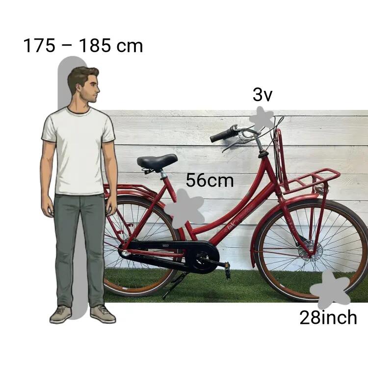 Bicicletta usata Cortina Life 2/4