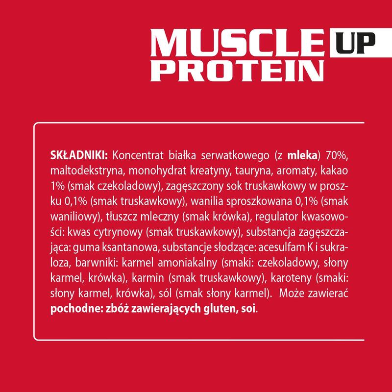 Białko serwatkowe Kreatyna Tauryna Muscle Up Protein Activlab