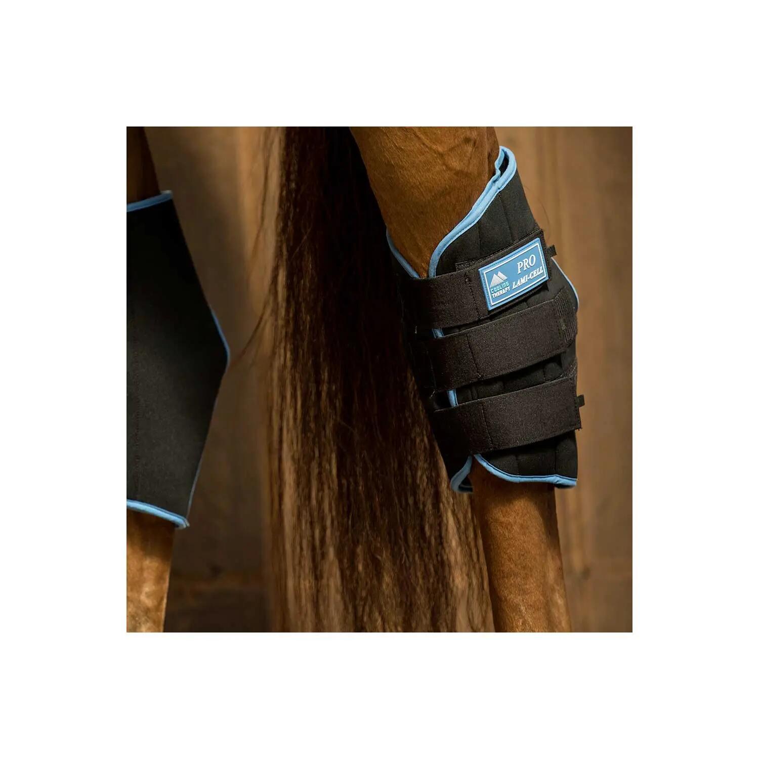 Ice hock boots 3/3
