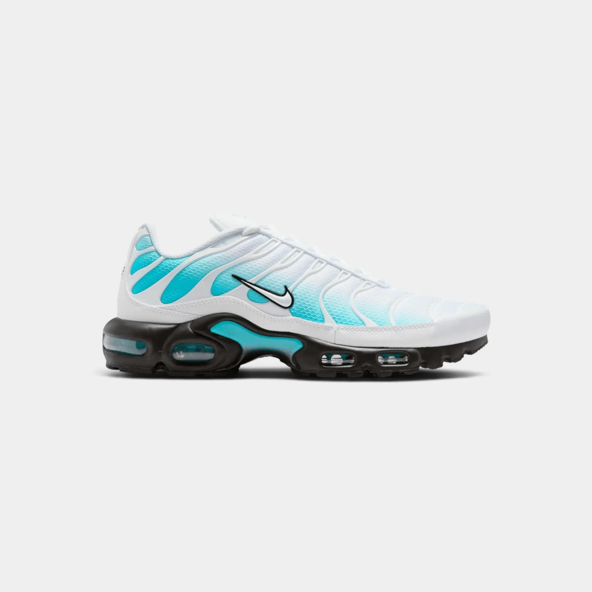 Nike Air Max Plus Dusty Cactus 1/2