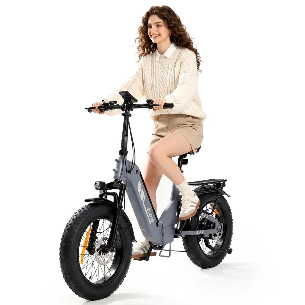 Bicicletta elettrica per adulti iScooter EB8, pneumatici 20", batteria 48V 15Ah. 8/10