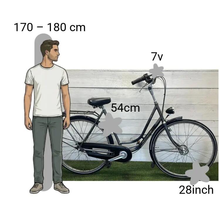 Bicicletta usata Gazelle Impala 2/4