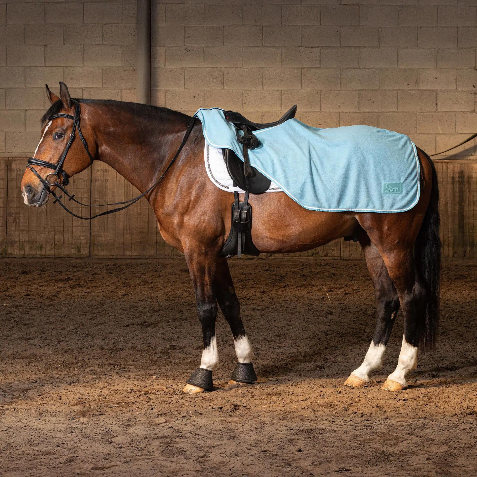 HARRYS HORSE picture