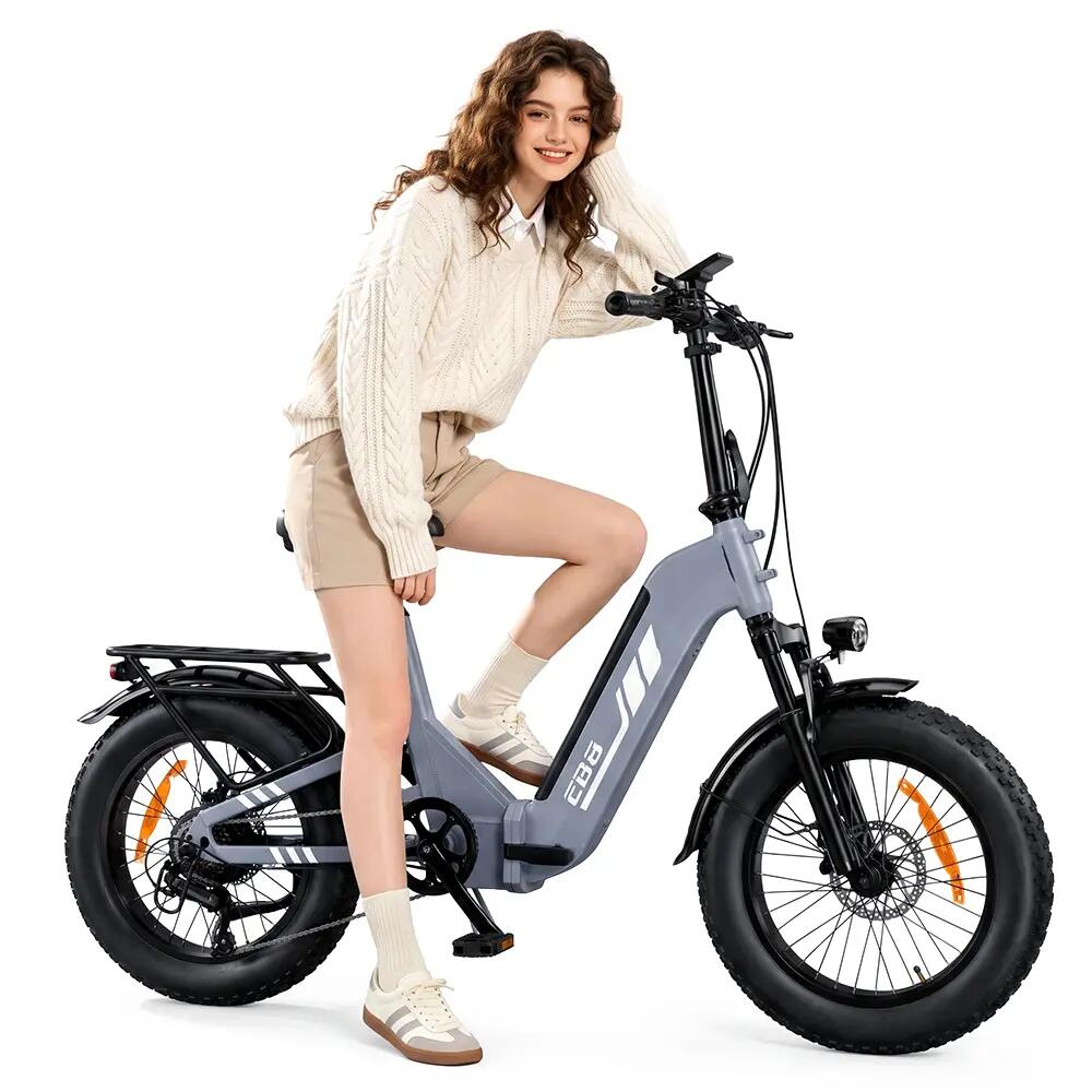 Bicicletta elettrica per adulti iScooter EB8, pneumatici 20", batteria 48V 15Ah. 10/10