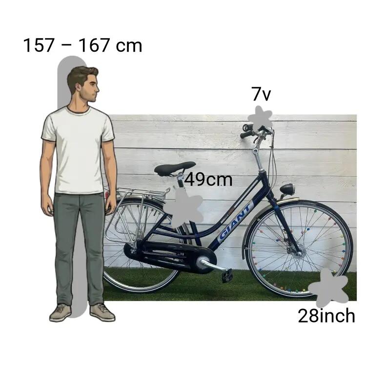 Bicicletta usata Giant Brisbane 2/4