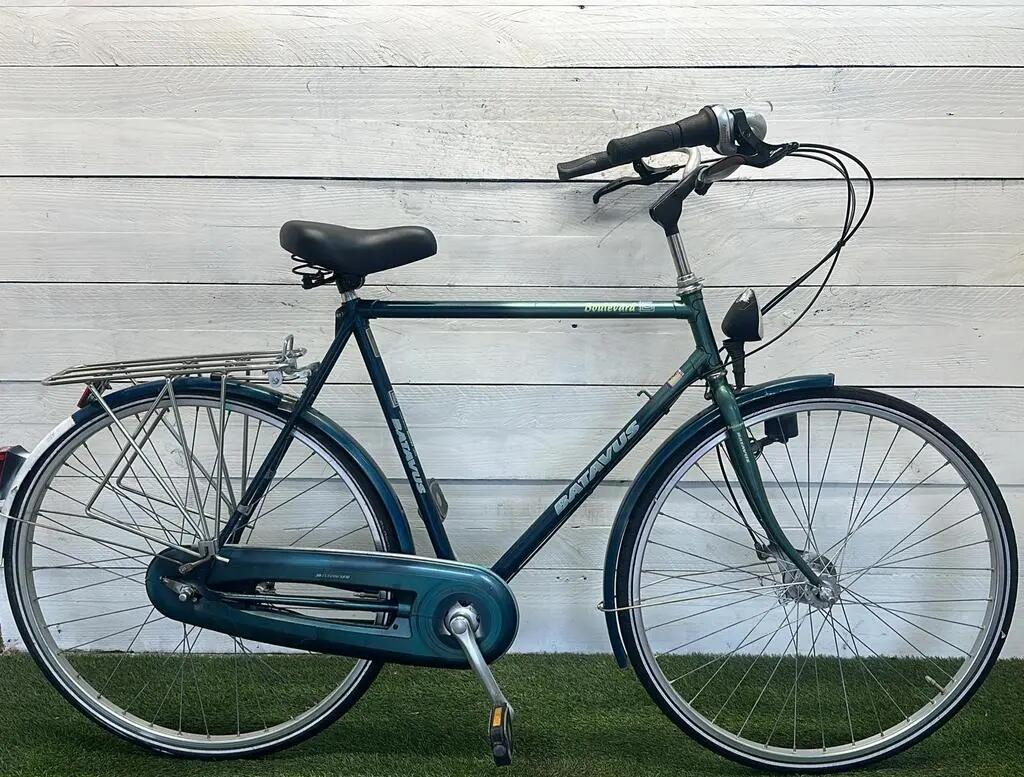 BATAVUS picture