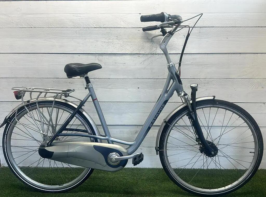 BATAVUS picture