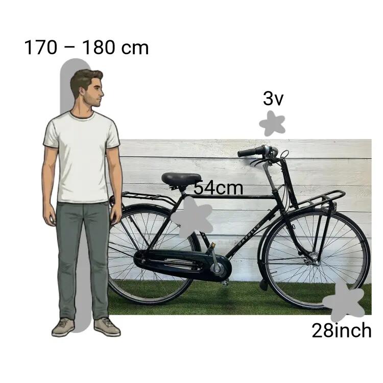 Bicicletta usata Gazelle Impala 2/4