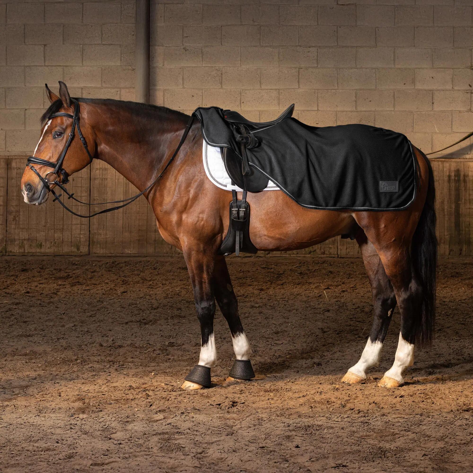 HARRYS HORSE picture