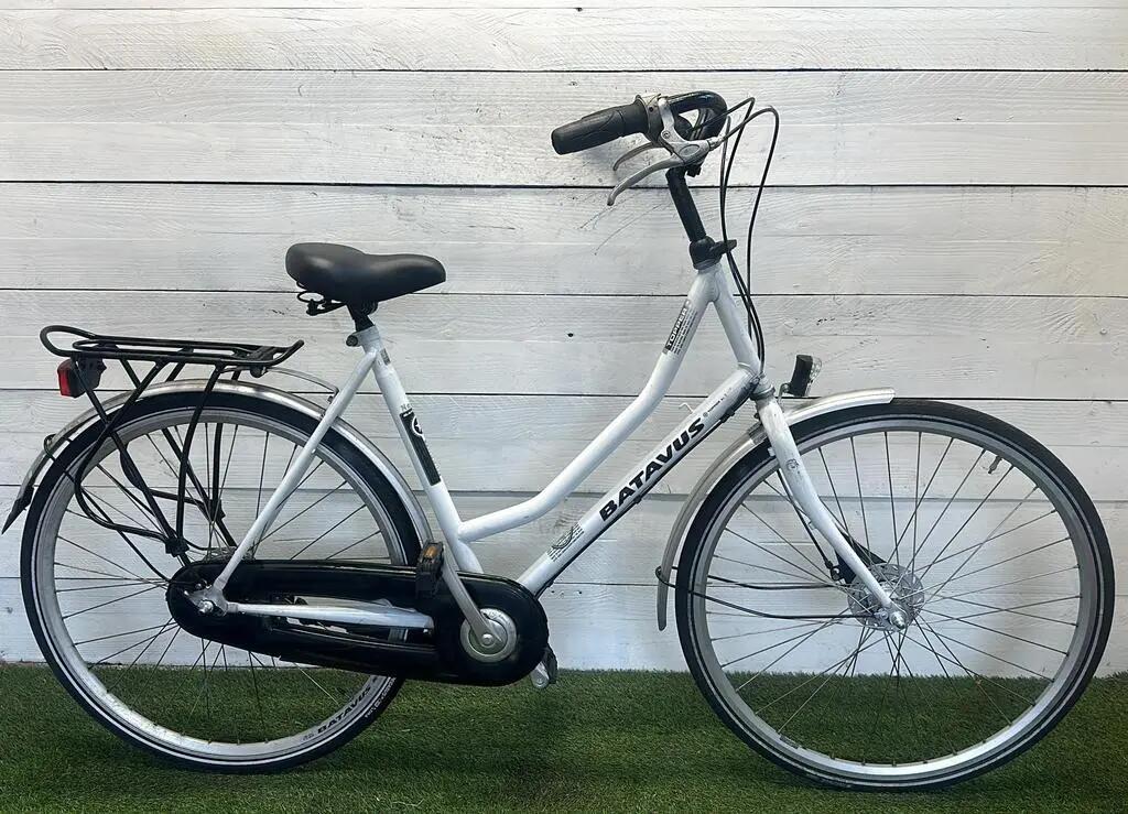 BATAVUS picture
