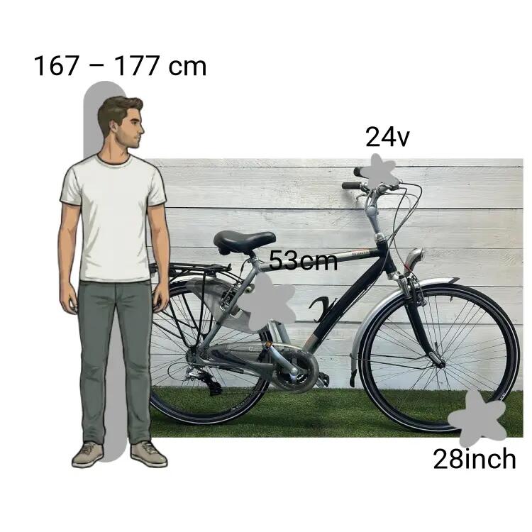 Bicicletta usata Gazelle Bahia 2/4
