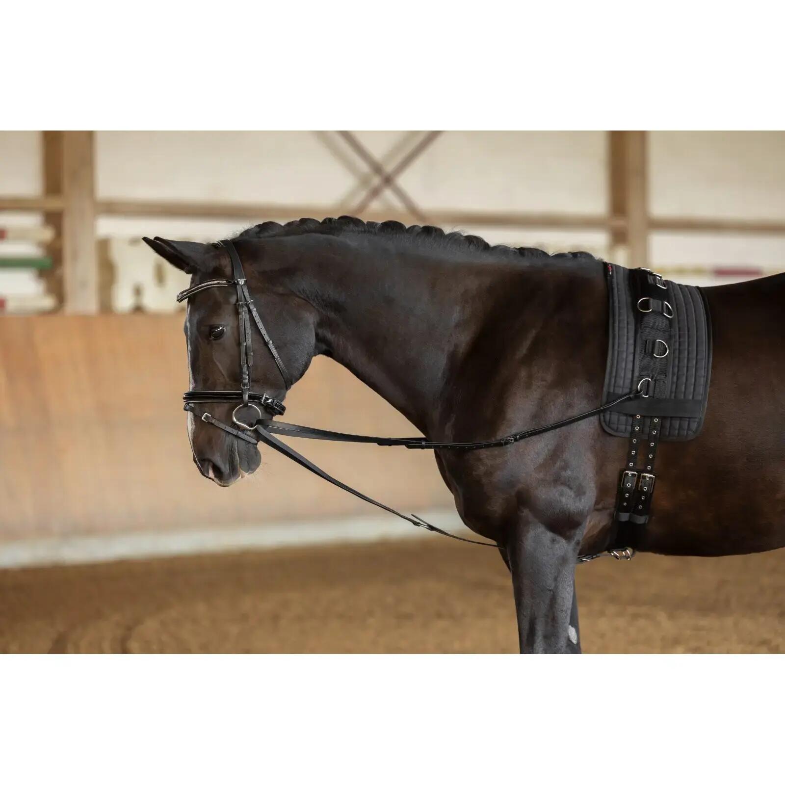 COVALLIERO DREIECKZUGEL BLACK - WB 2/2