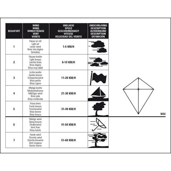 Schwanzdrachen-Pirat 5/6