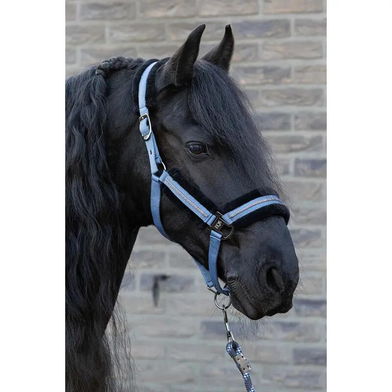 Harry's Horse Halsterset Soft - Flint Stone (Full) 3/3