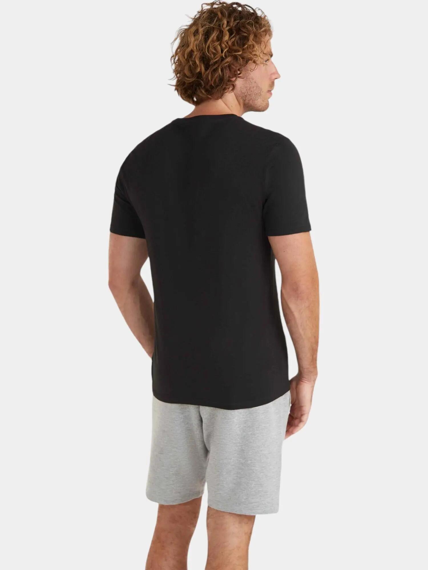 Férfi rövid ujjú póló O'Neill Logo T-Shirt 2/7