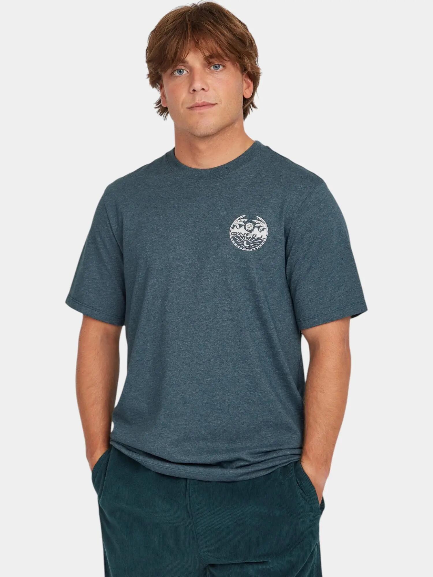 Férfi rövid ujjú póló O'Neill Back Print T-Shirt 1/7