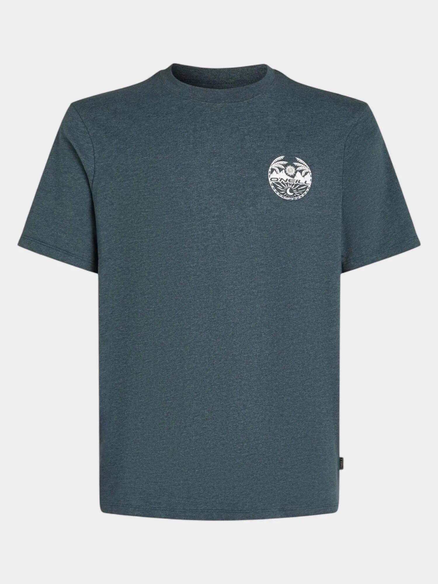 Férfi rövid ujjú póló O'Neill Back Print T-Shirt 5/7