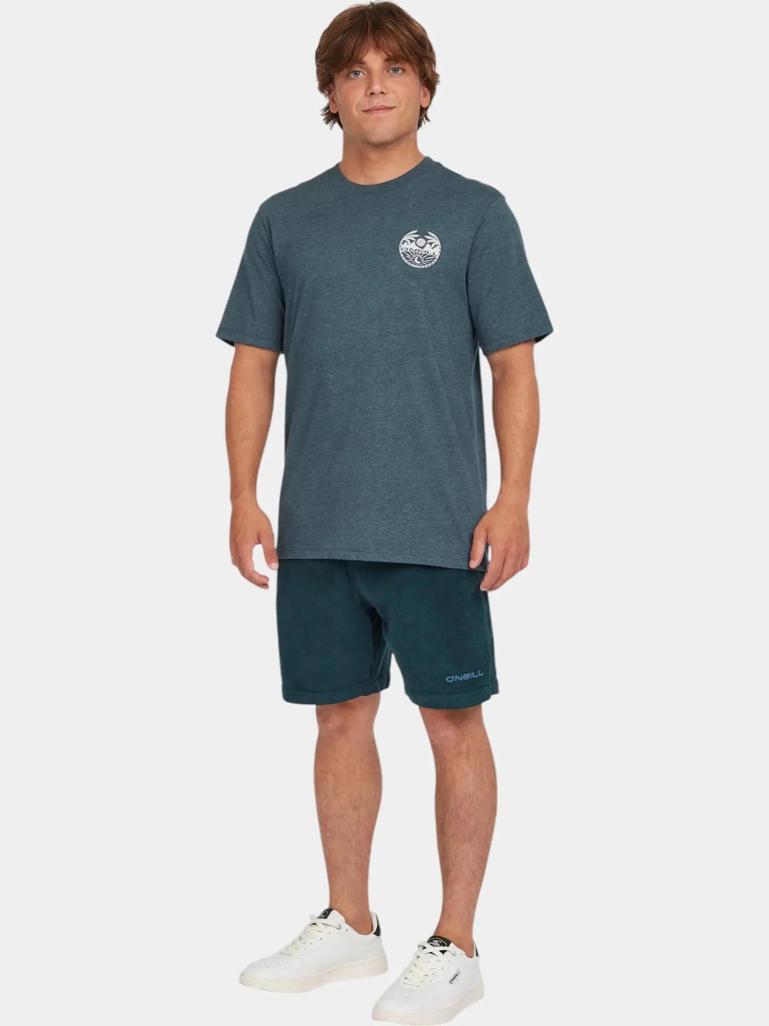 Férfi rövid ujjú póló O'Neill Back Print T-Shirt 3/7
