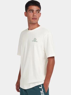 O'neill o'neill t-shirts global t-shirt heren snow white