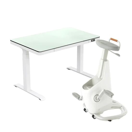 LifeSpan Fitness Ballon de yoga pour chaise de bureau