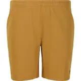 fz_forza Landos V2 M Shorts in poliestere riciclato – 5316 Mustard Gold 4/4