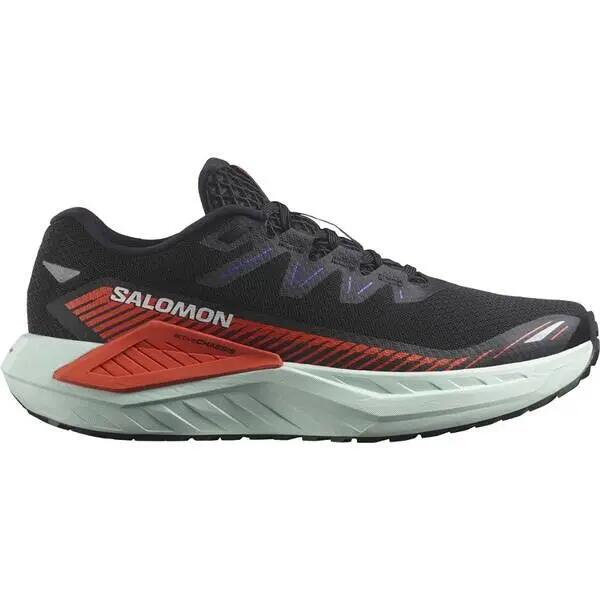 SALOMON picture