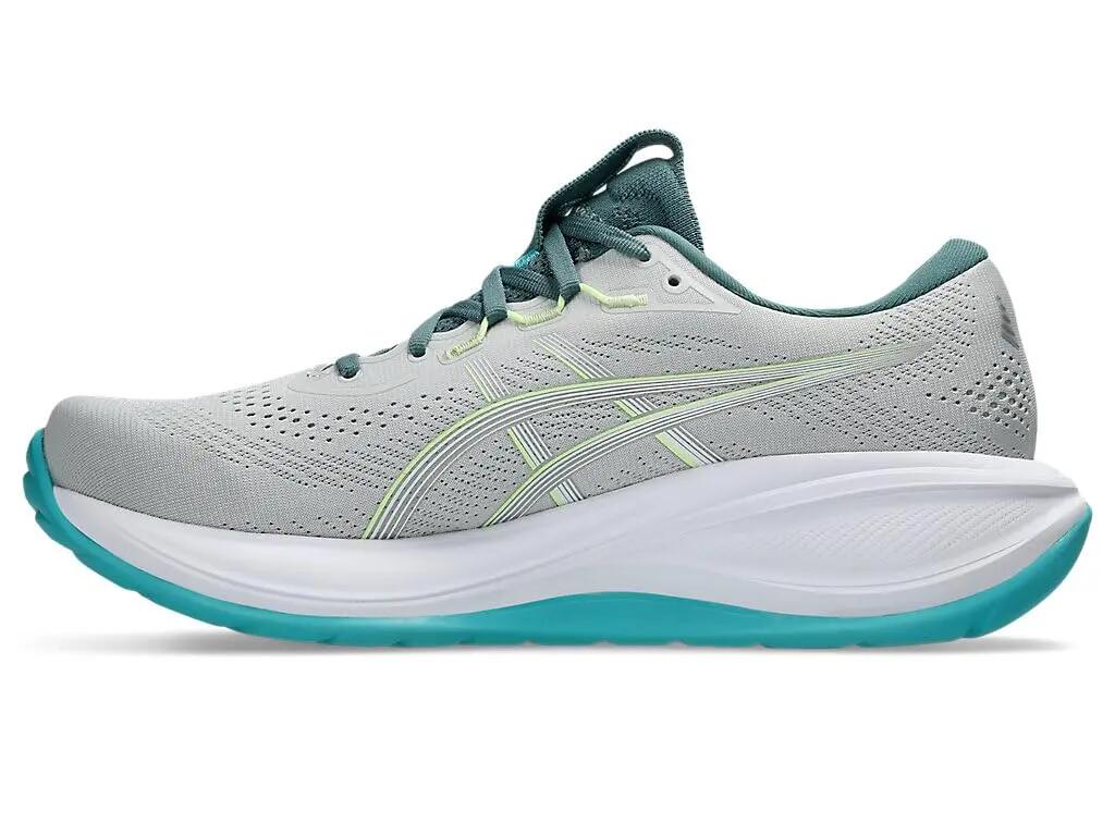 ASICS picture