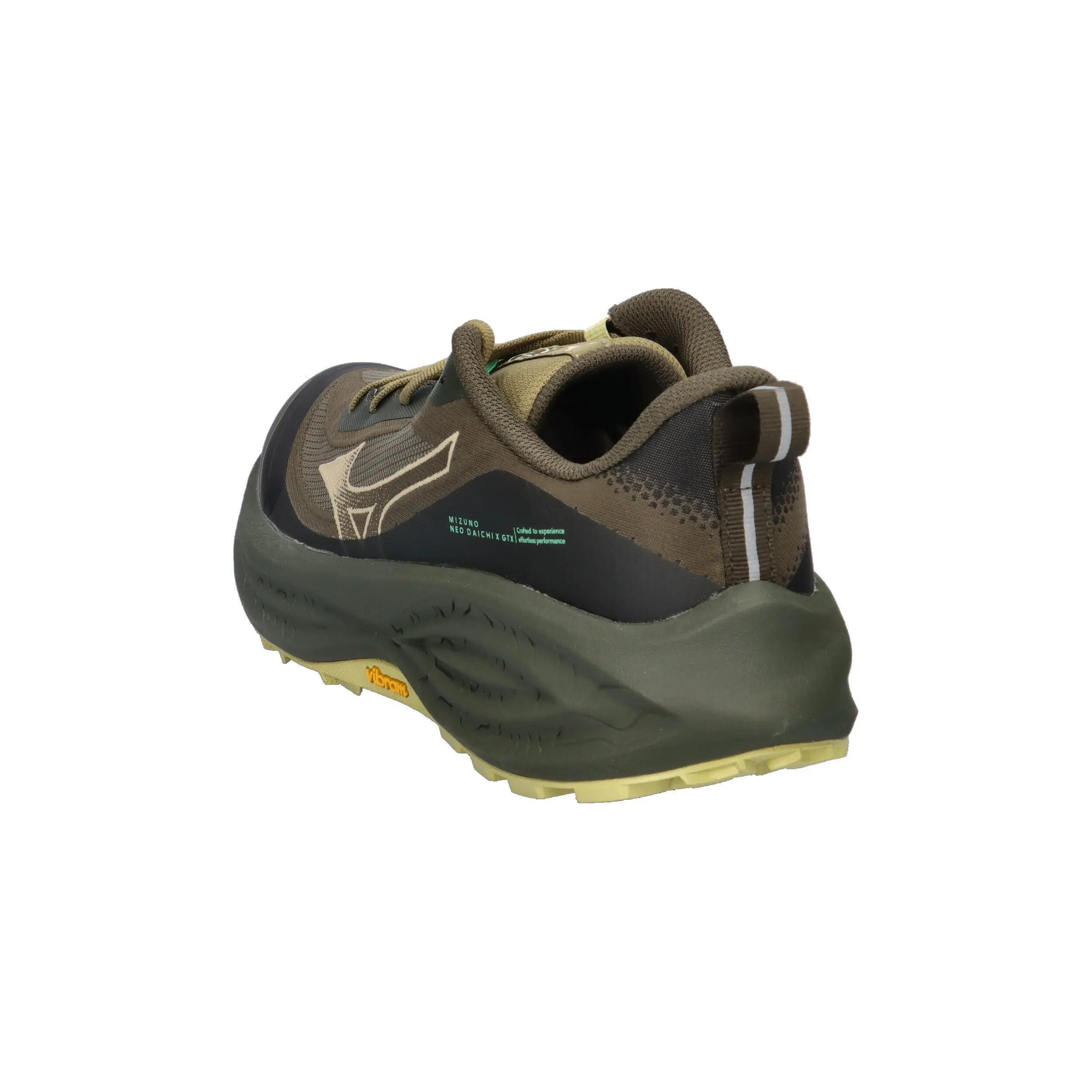 Scarpe running da donna Mizuno Neo Daichi 10 GTX 11/14