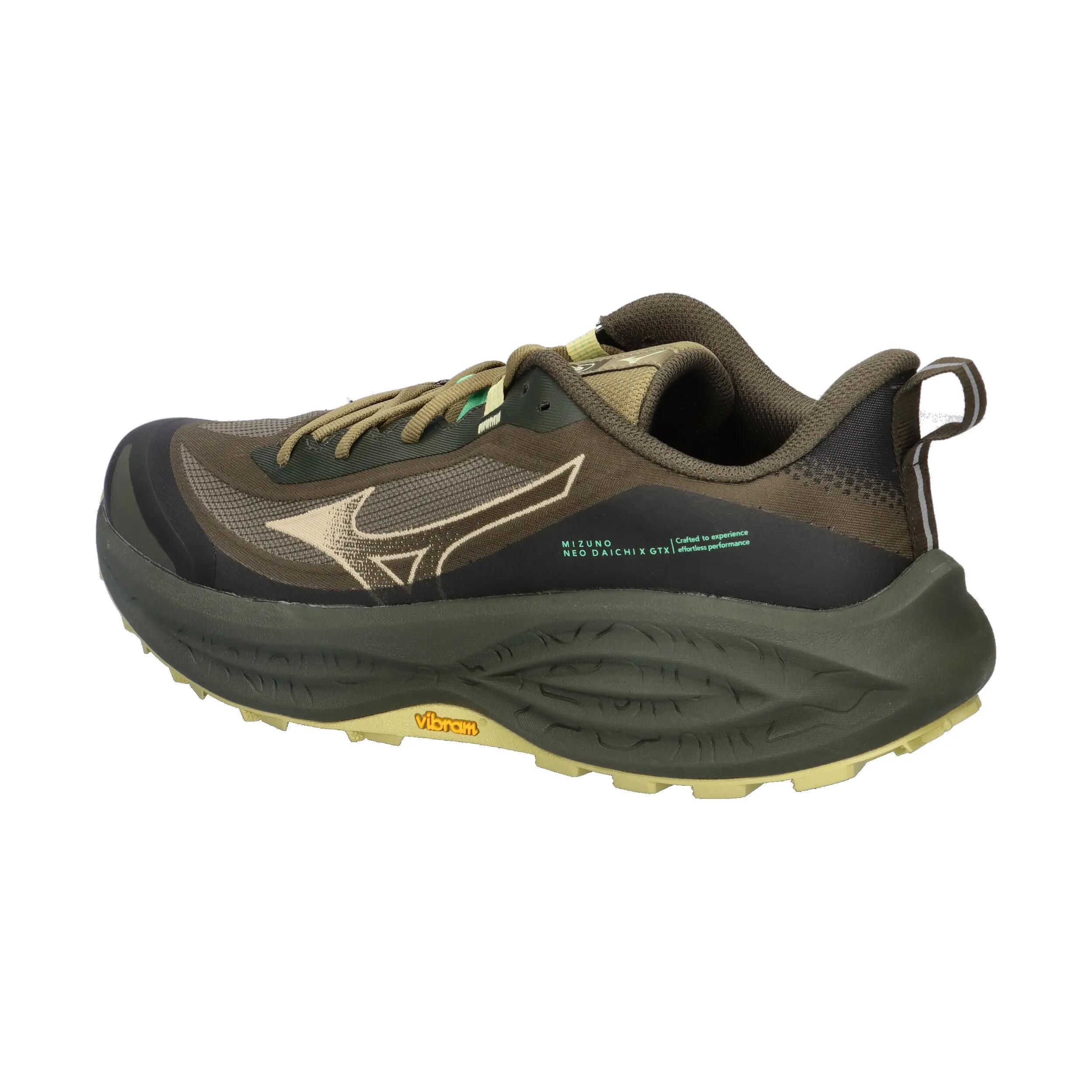 Scarpe running da donna Mizuno Neo Daichi 10 GTX 10/14