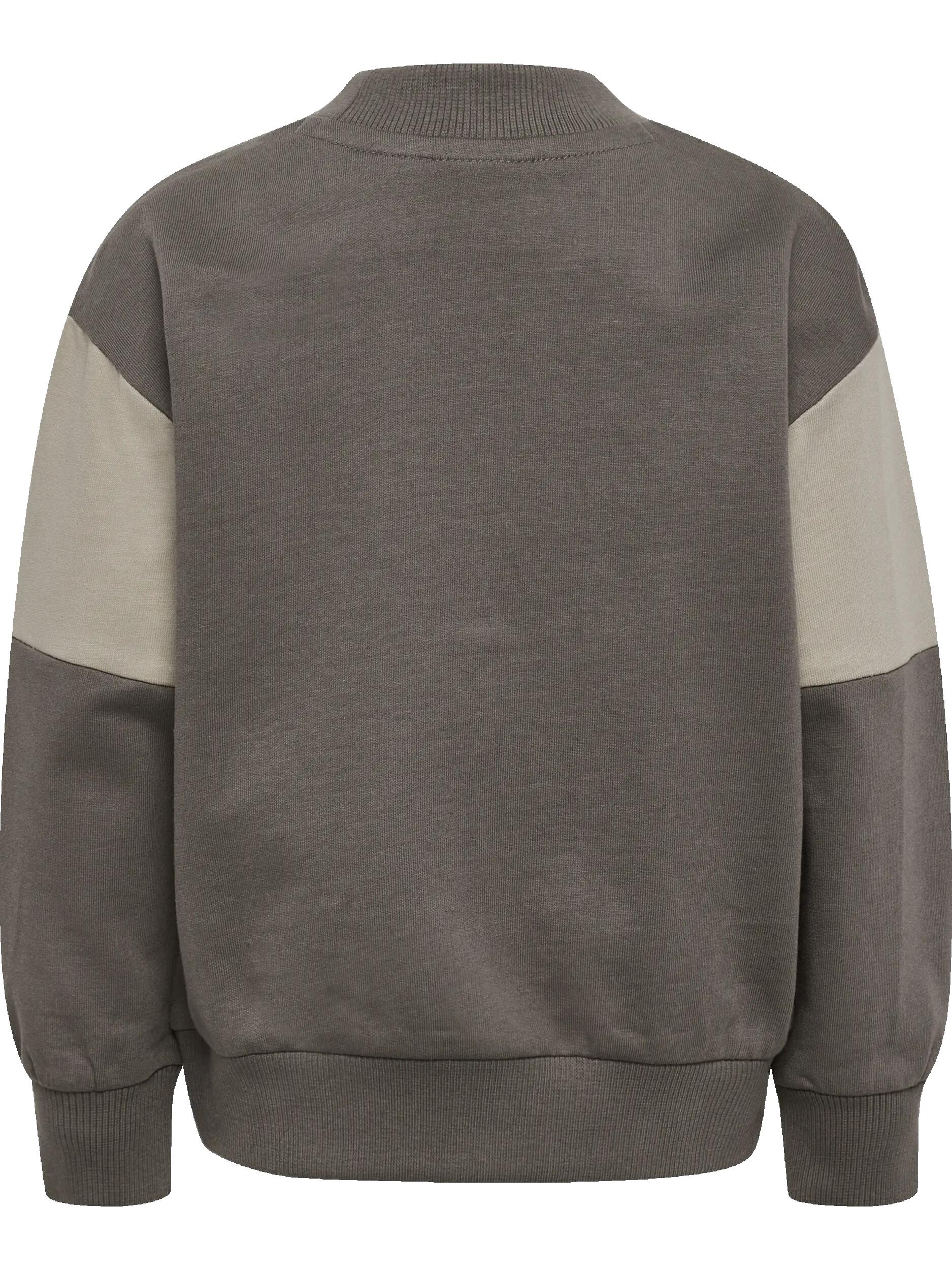 hummel Felpa bambino taglio loose colour block in cotone biologico – DARK GULL 2/4