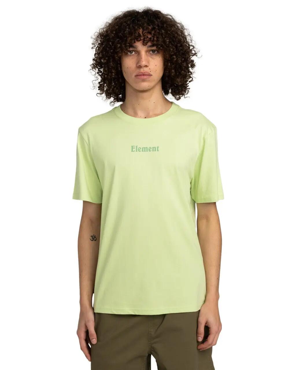 ELEMENT picture