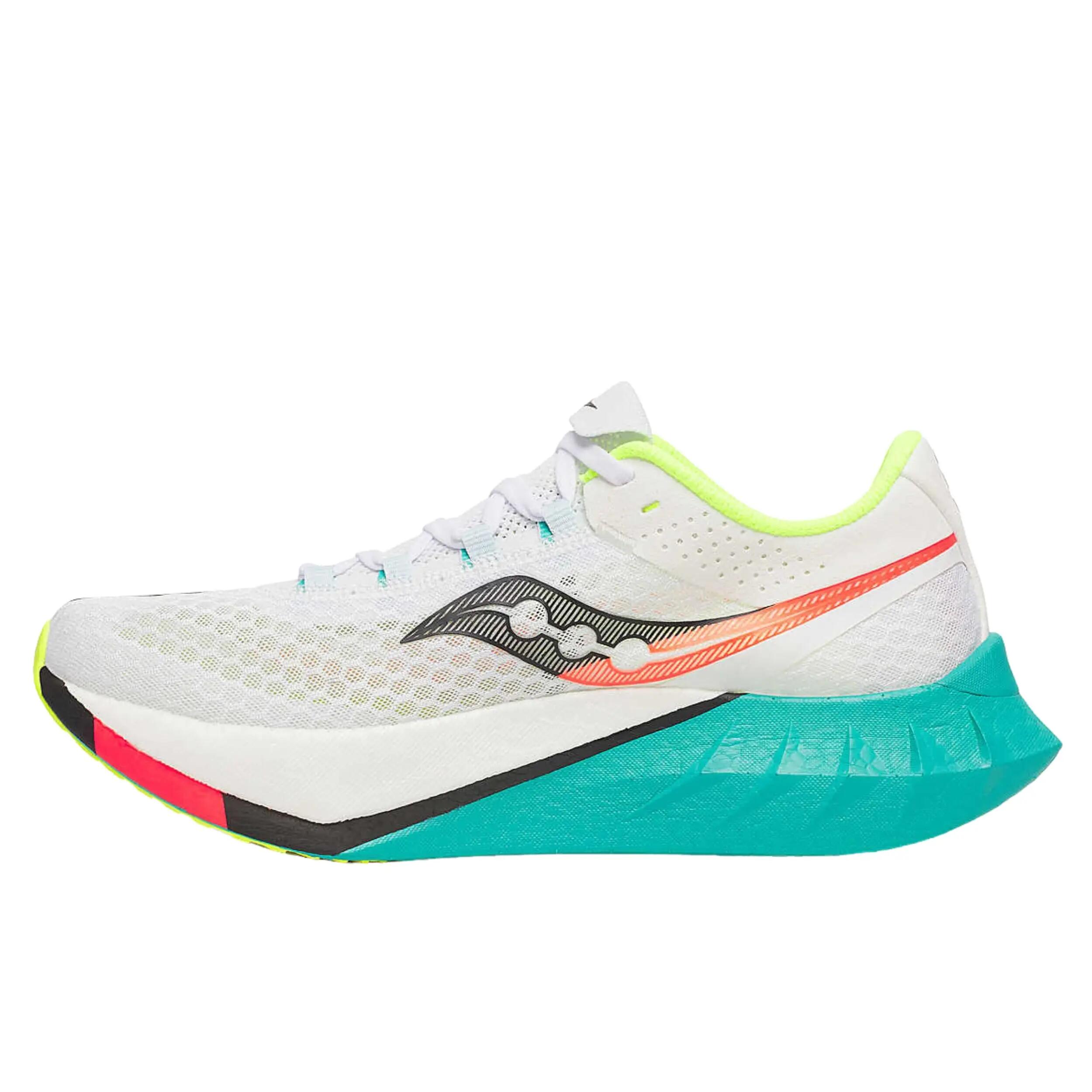 SALOMON picture