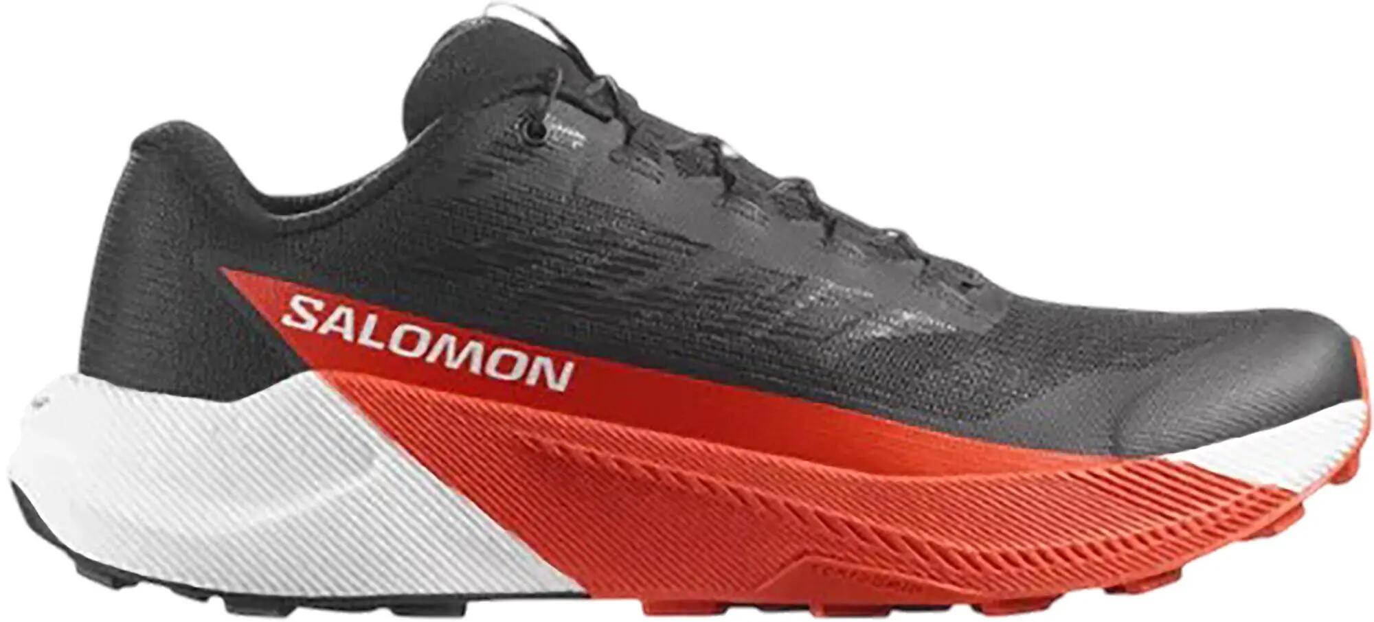 SALOMON picture