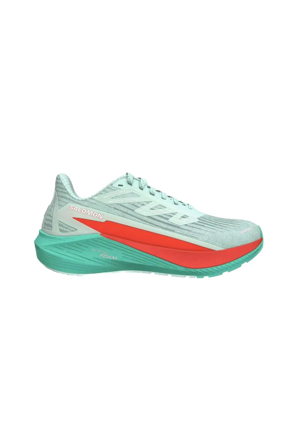 SALOMON picture