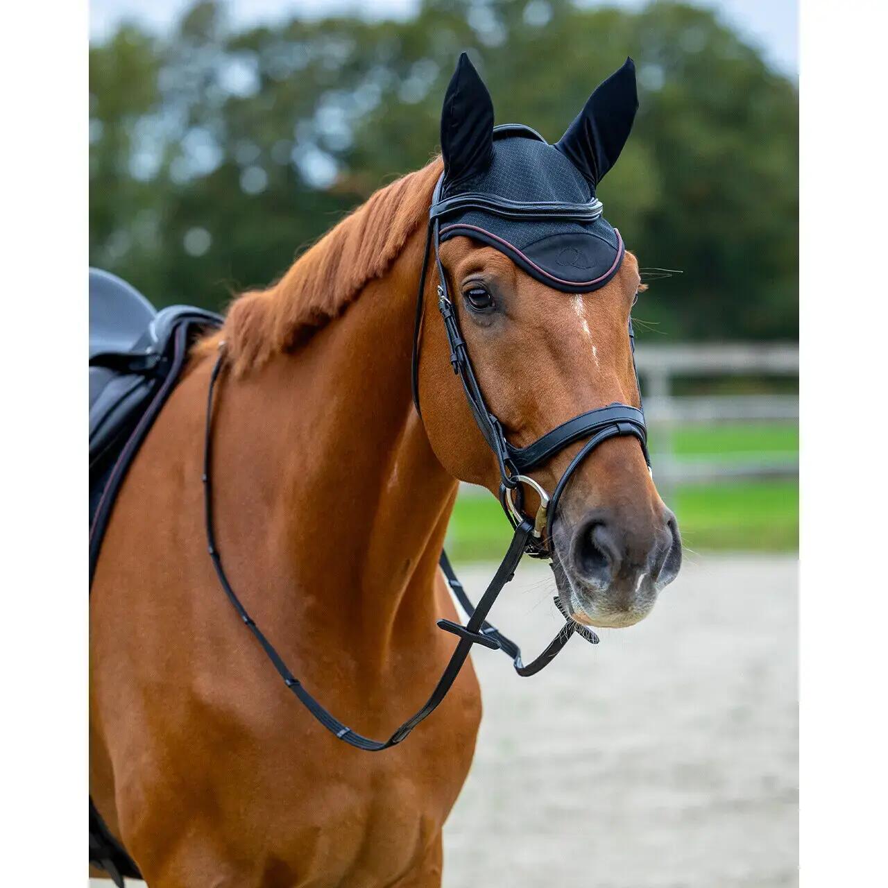 Cuffietta per cavalli QHP Avenna 3/7