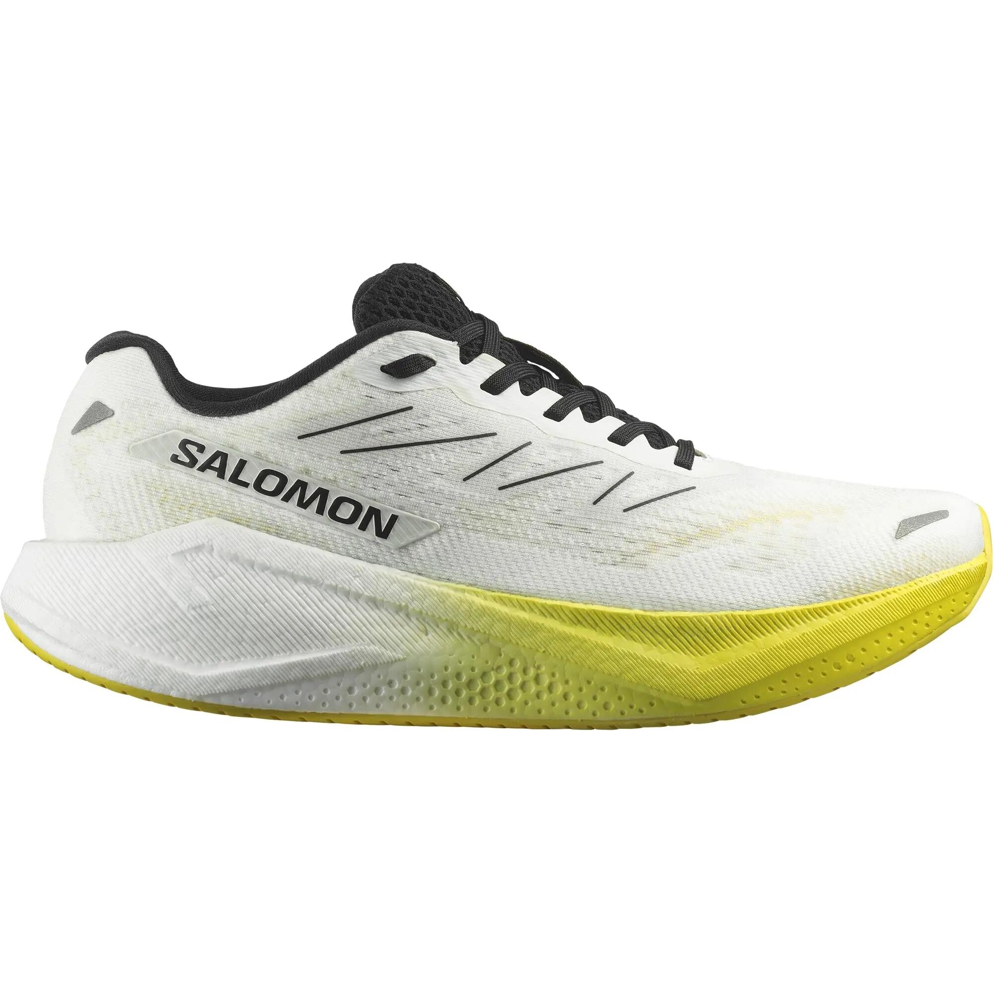 SALOMON picture