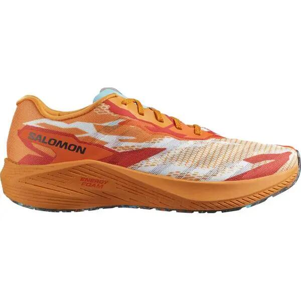 SALOMON picture