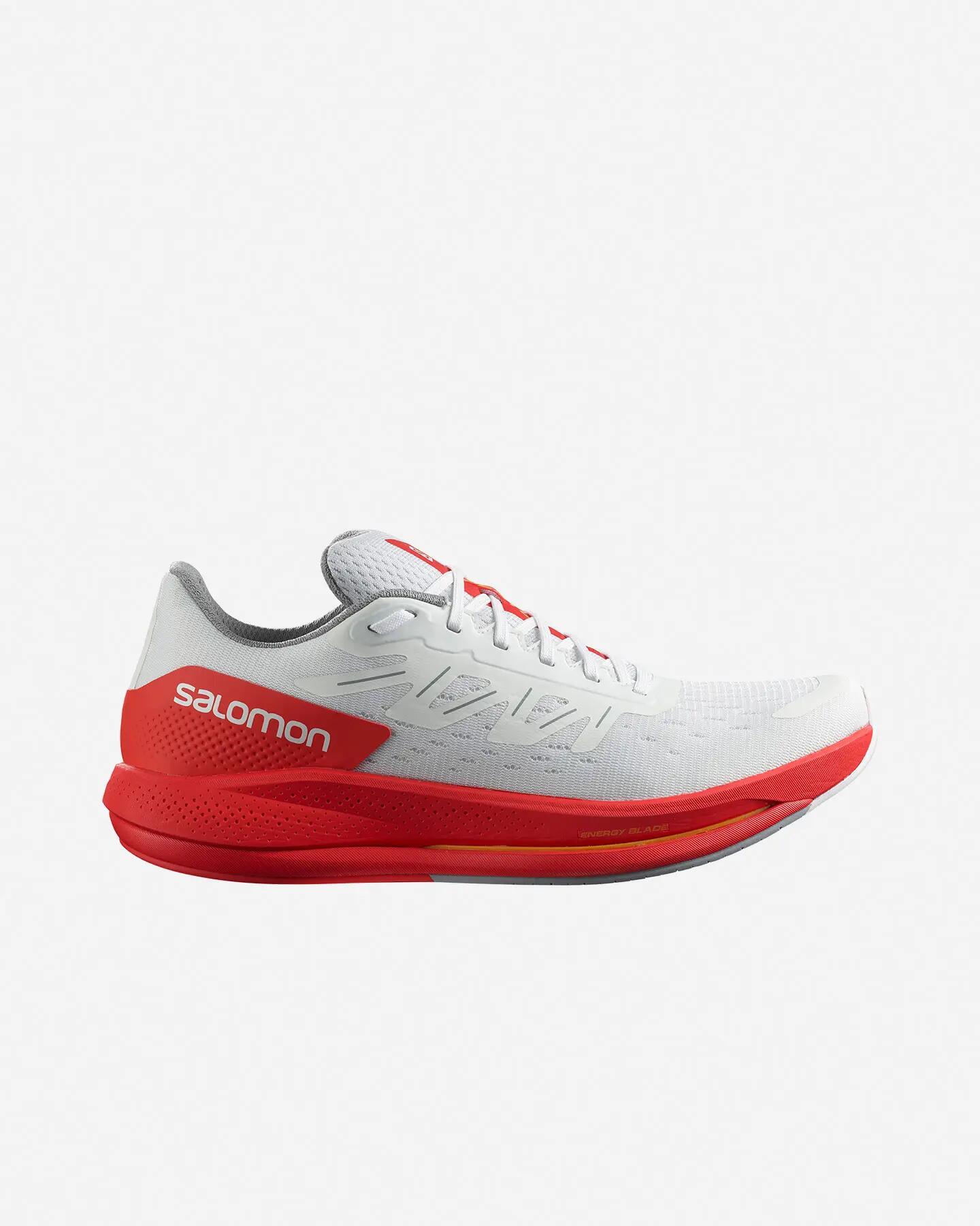 SALOMON picture