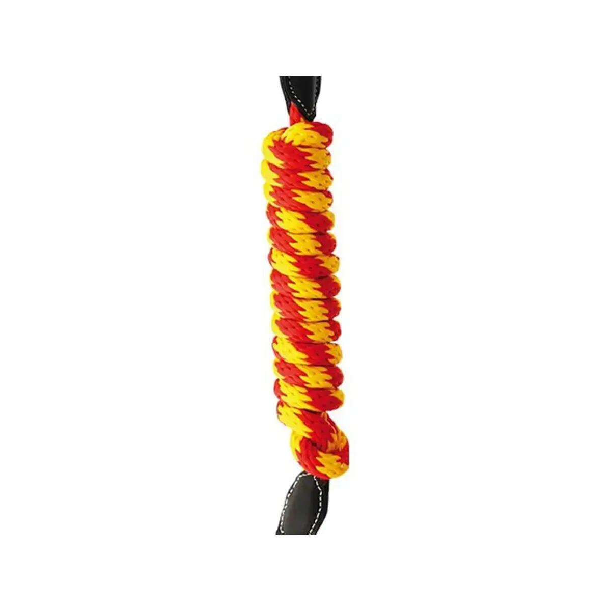 Longe équitation branche ronde nylon cuir Lexhis 2/2