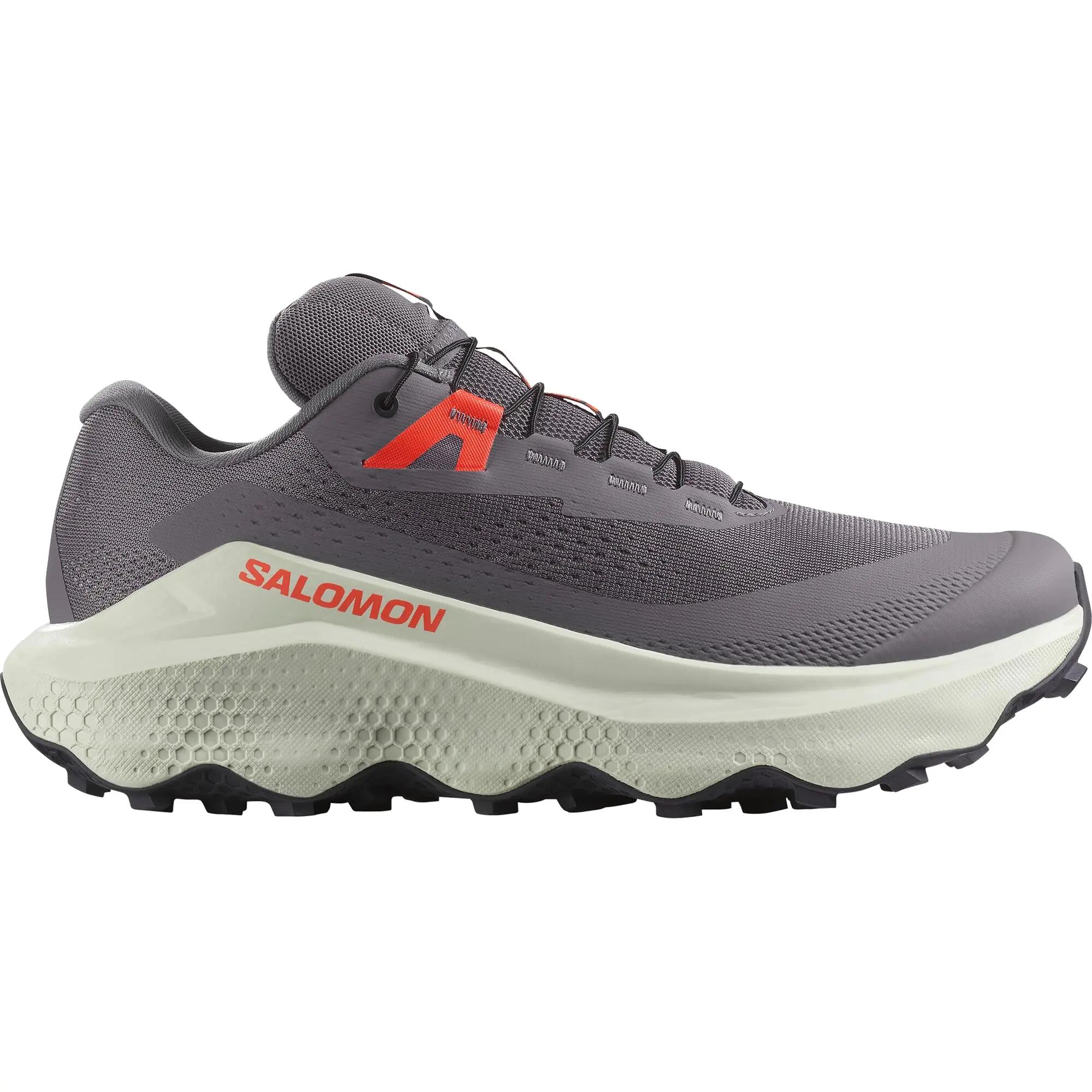 SALOMON picture