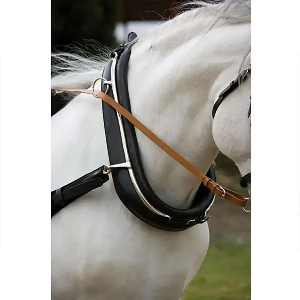 HISPANO HIPICA picture
