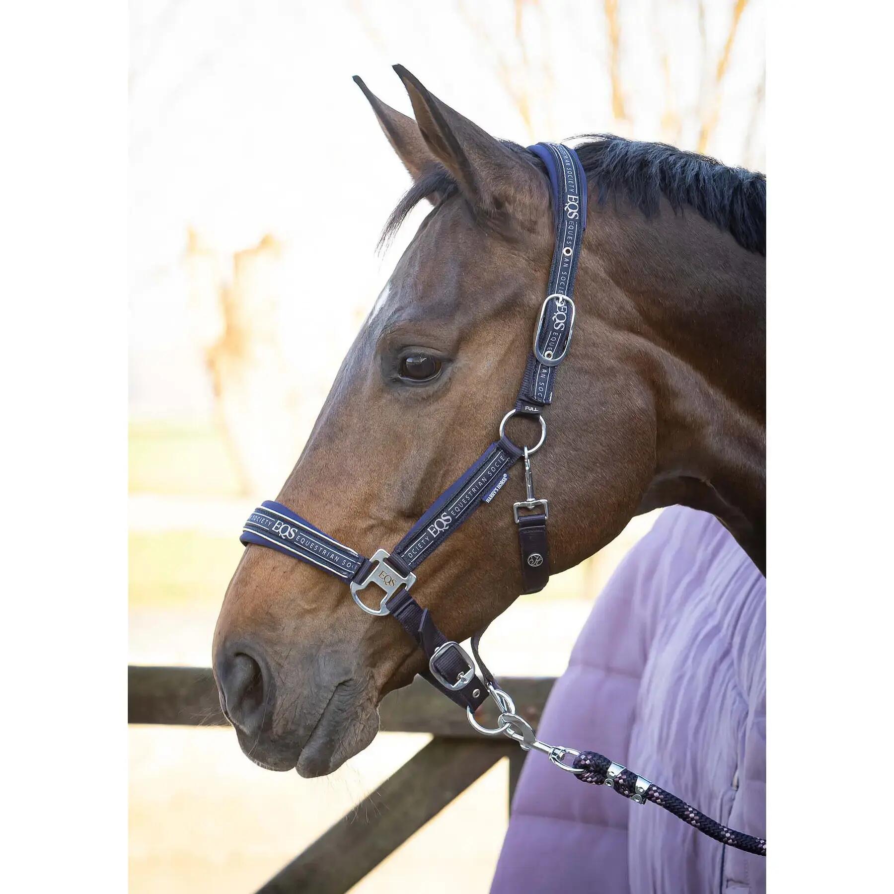 Ensemble licol et longe pour cheval Harry's Horse EQS 2/6
