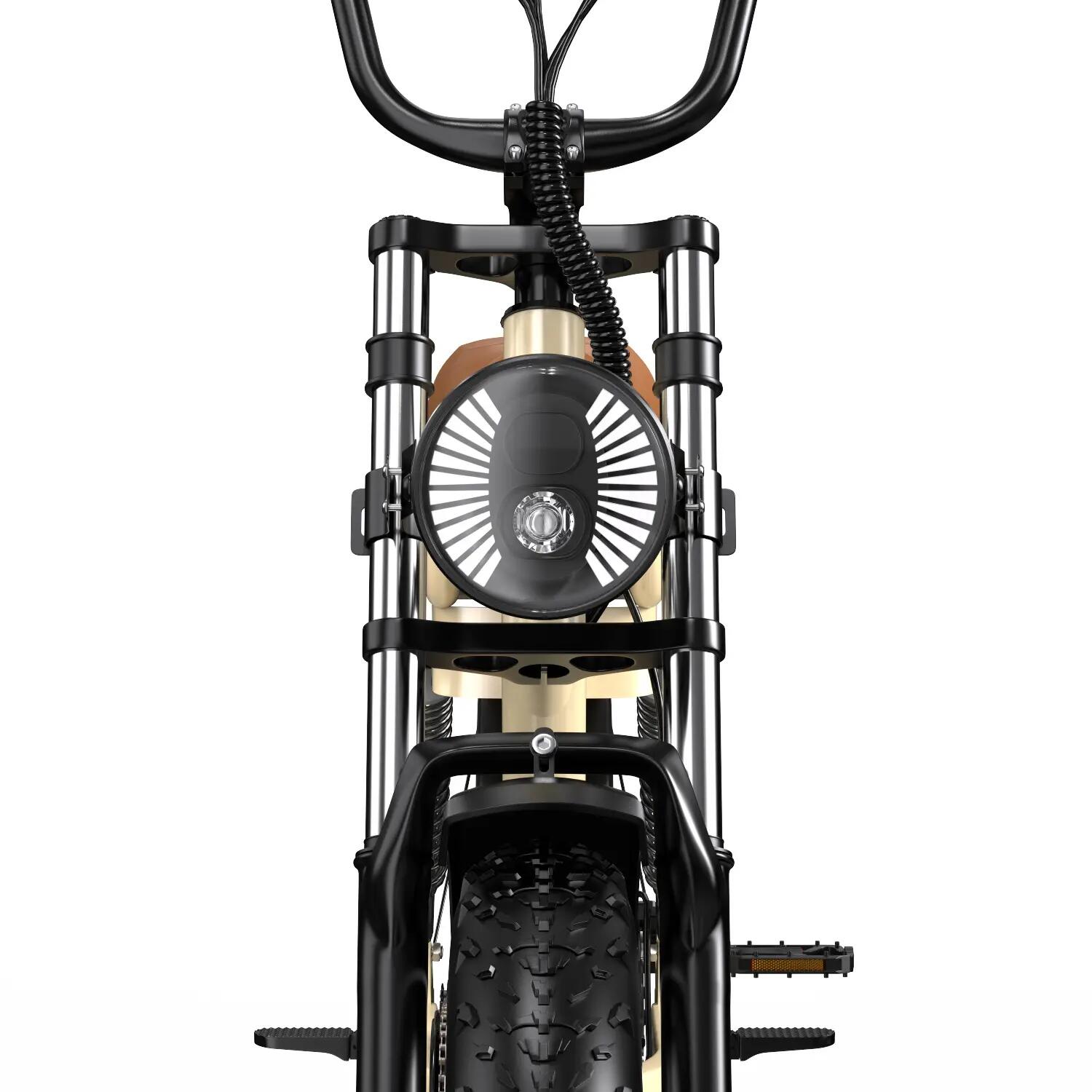 Bicicletta elettrica per adulti W77, pneumatici 20" × 4,0", batteria 48V 18Ah. 8/10