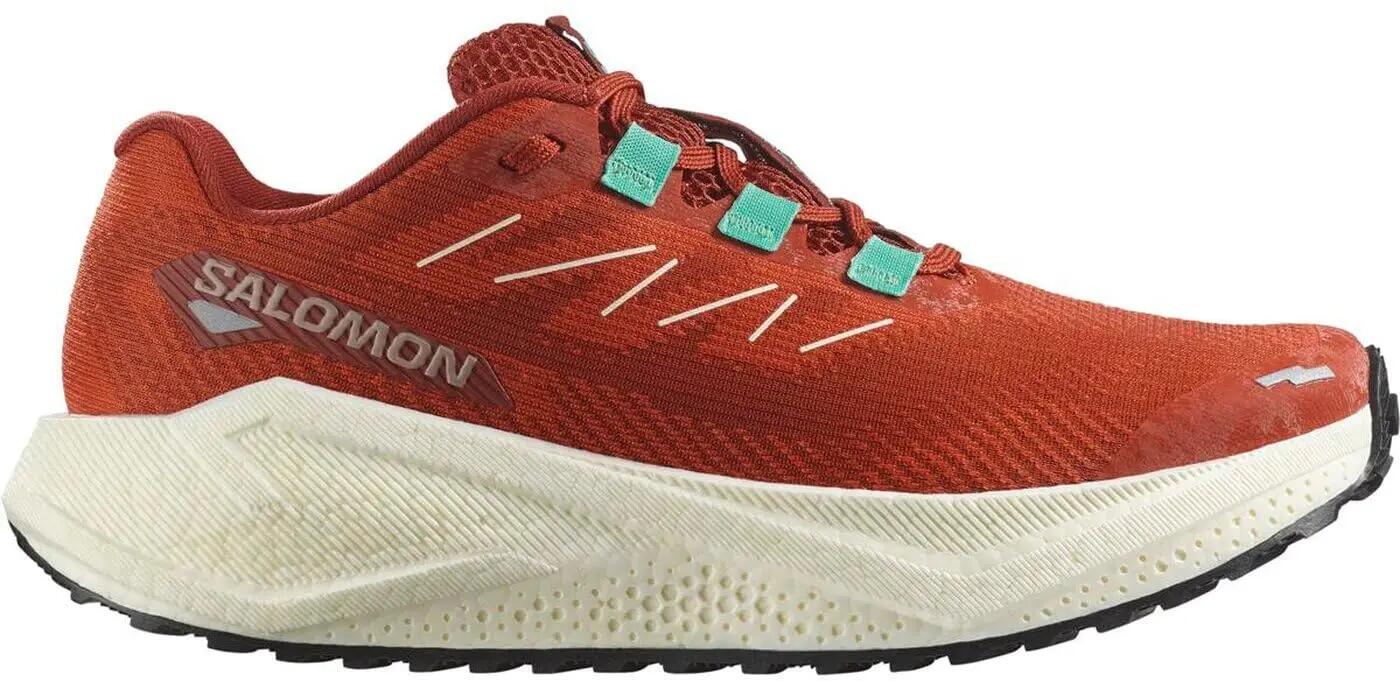 SALOMON picture