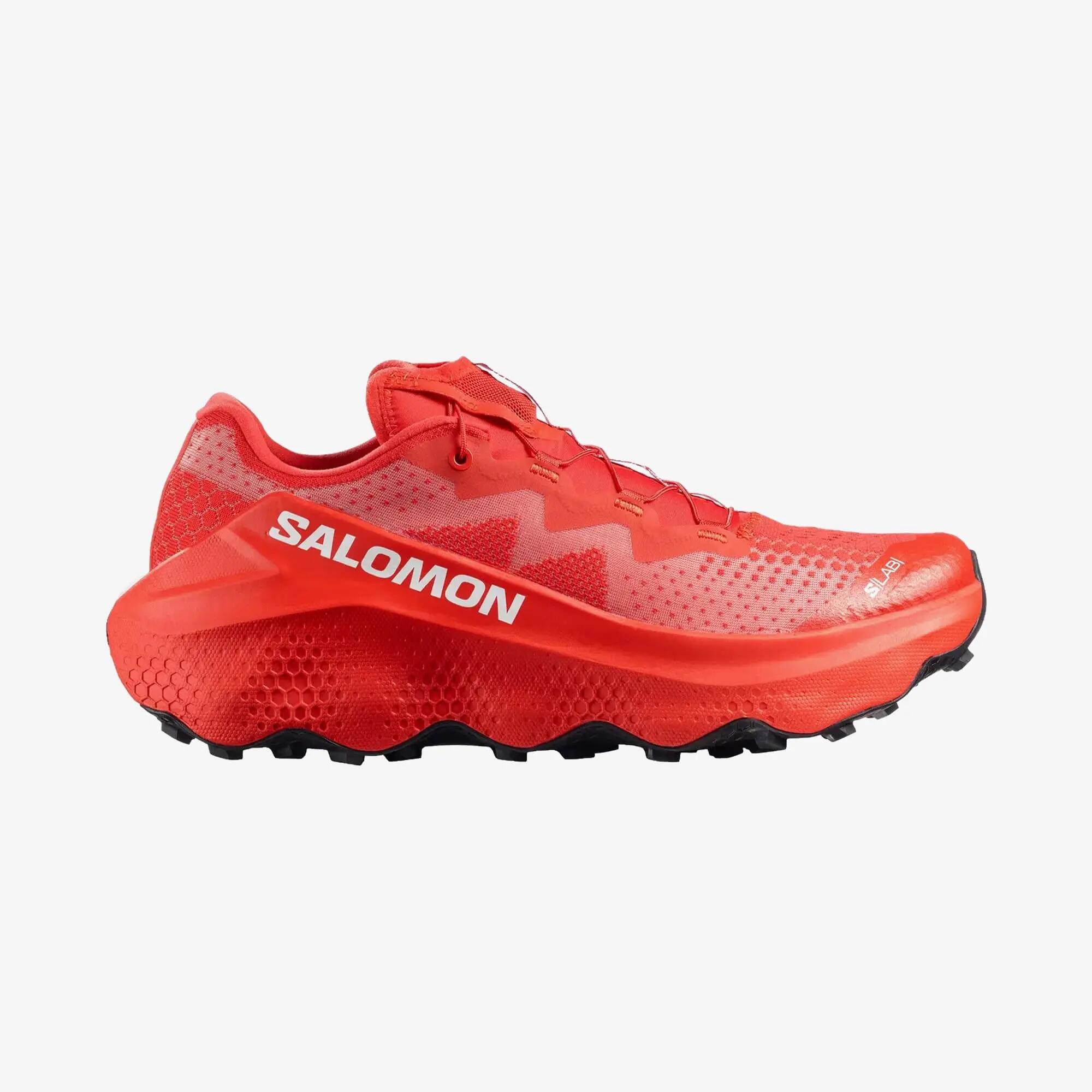 SALOMON picture