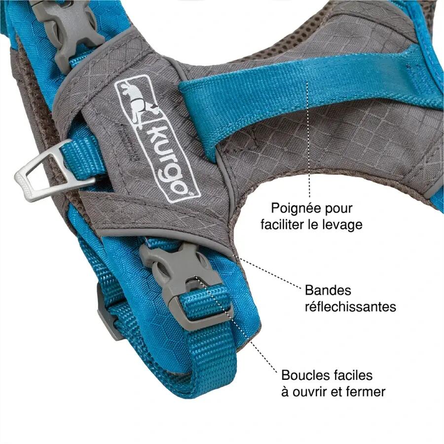 Harnais - running - mixte - léger - journey air - bleu 2/4
