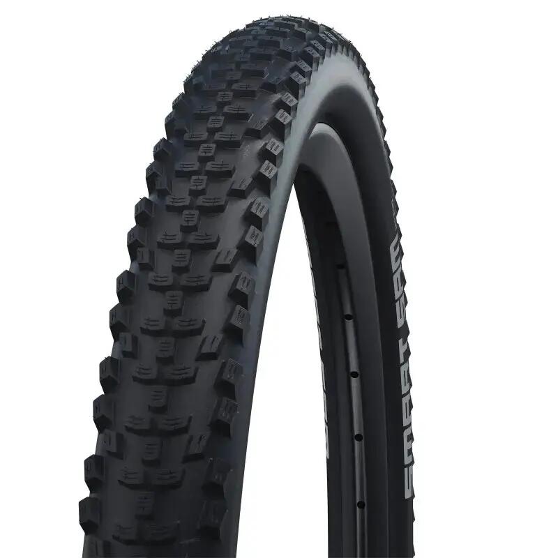 SCHWALBE picture