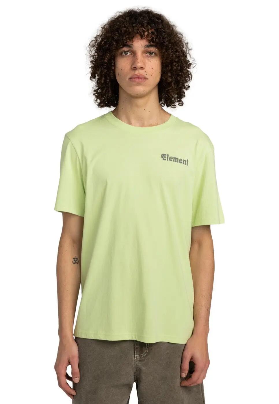 ELEMENT picture
