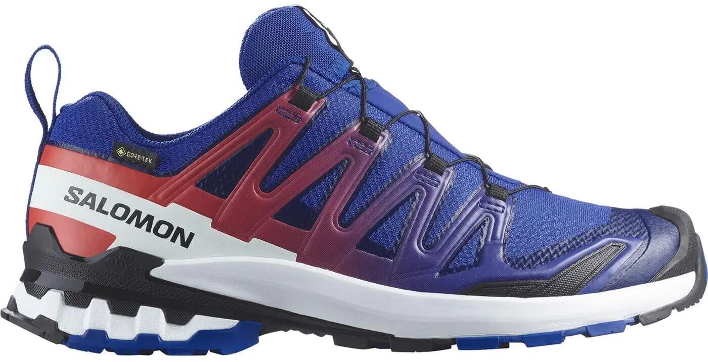 SALOMON picture