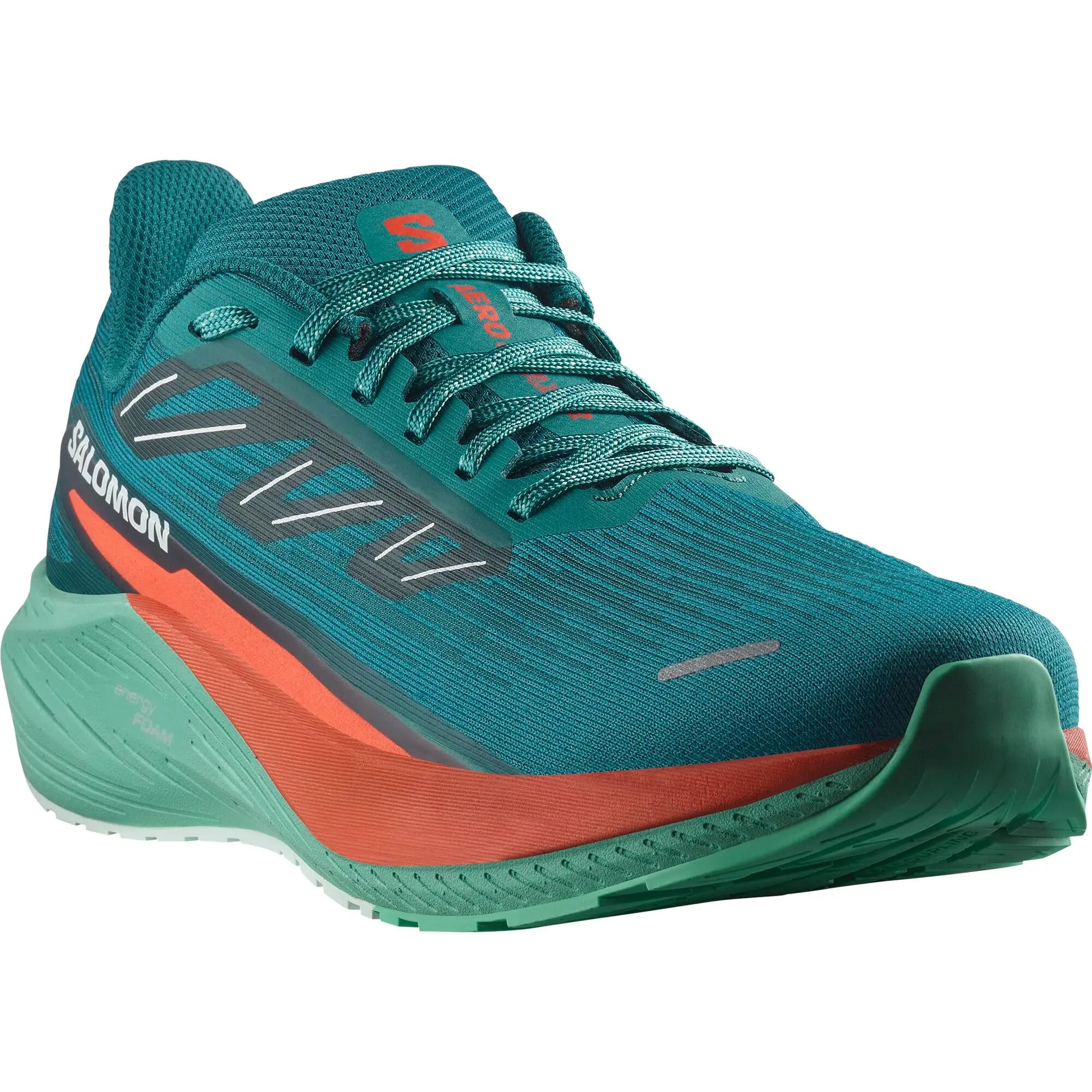SALOMON picture
